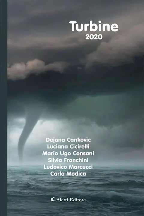 Cover of Turbine 2020