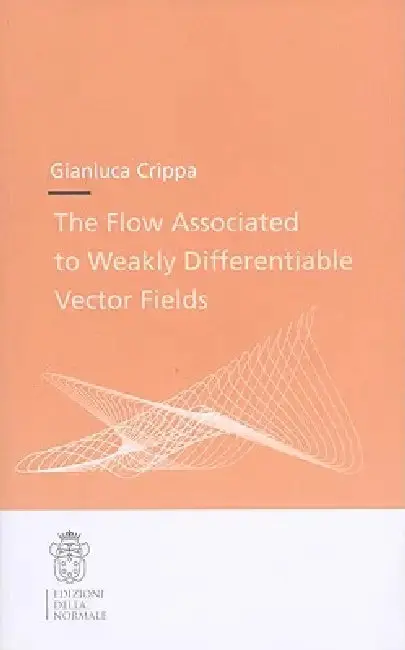 Cover of The Flow Associated to Weakly Differentiable Vector Fields