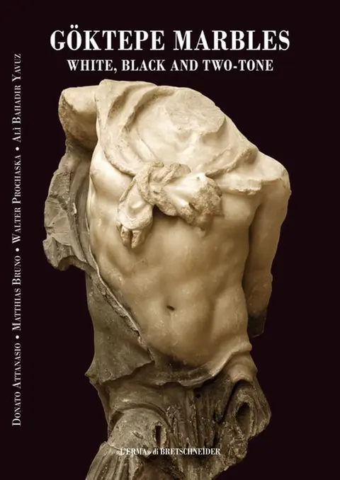 Cover of Goktepe Marbles