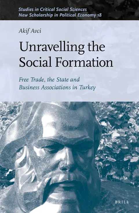 Cover of Unravelling the Social Formation