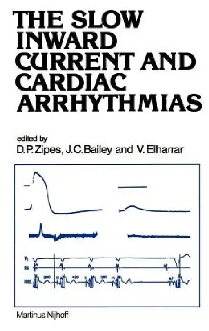 Cover of The Slow Inward Current and Cardiac Arrhythmias