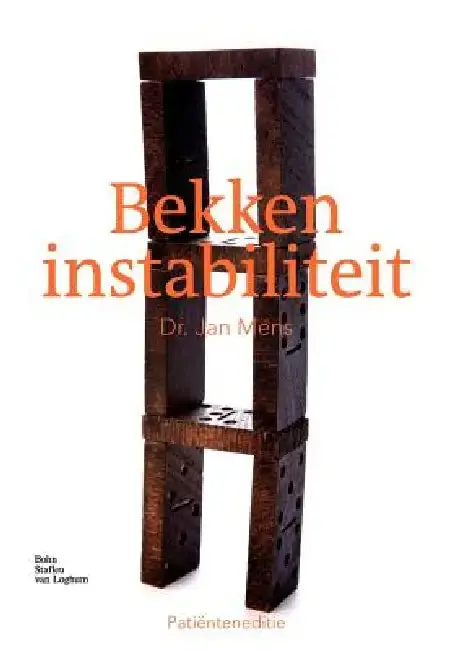 Cover of Bekkeninstabiliteit