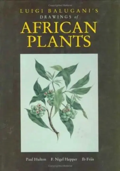 Cover of Luigi Balugani's Drawings of African Plants