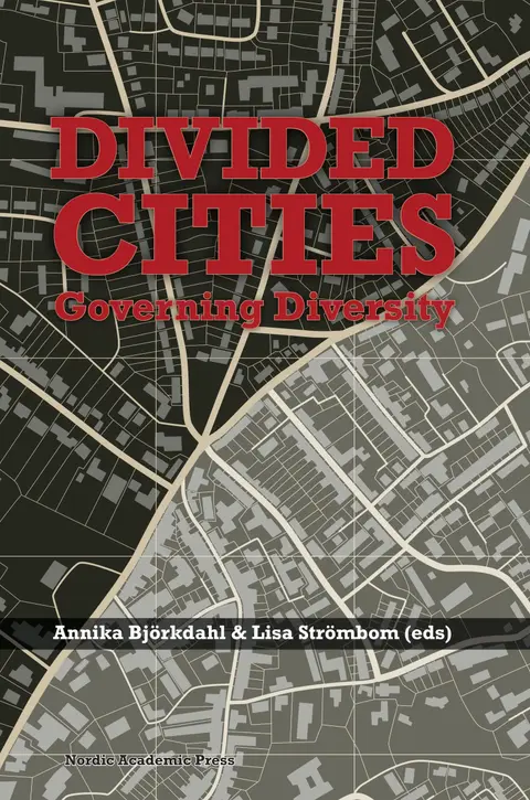 Cover of Divided Cities