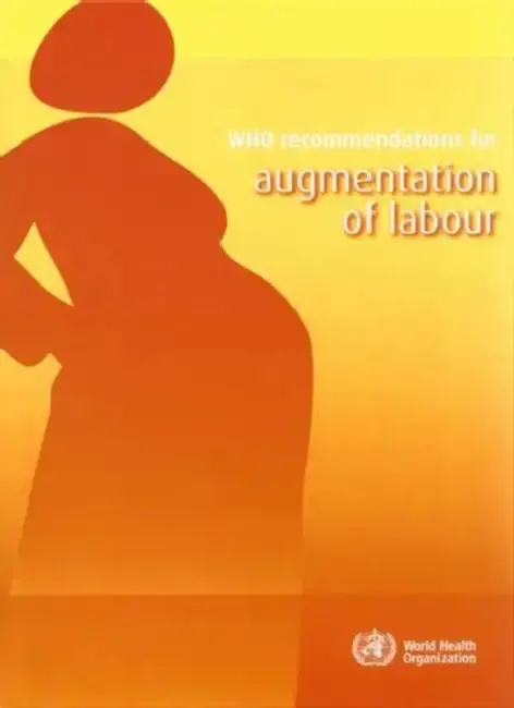 Cover of Who Recommendations for Augmentation of Labour
