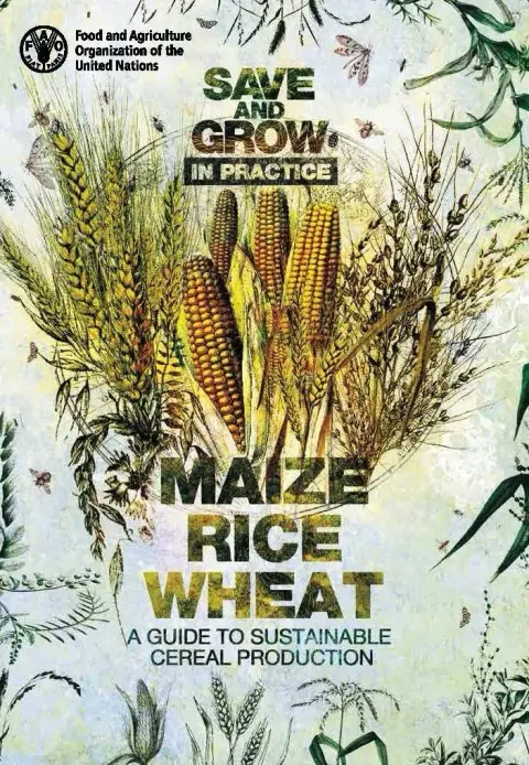 Cover of Save and grow in practice