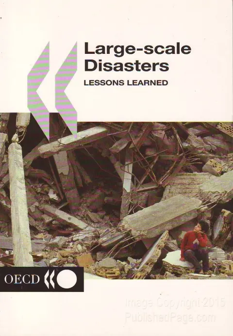 Cover of Large-scale Disasters