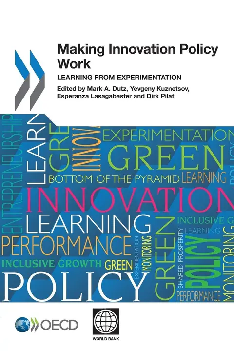 Cover of Making innovation policy work