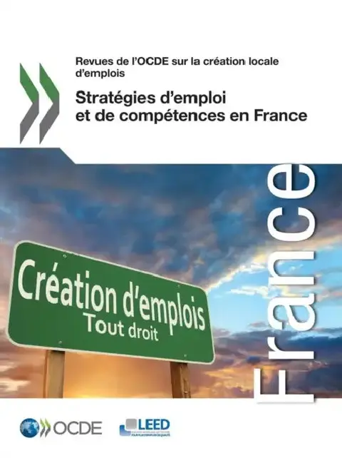 Cover of Strategies D'Emploi Et de Competences En France