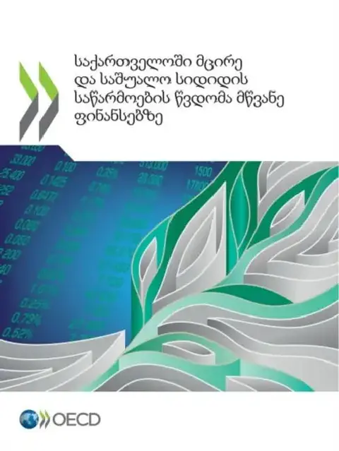 Cover of საქართველოში მცირე და სა