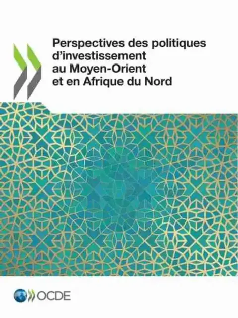 Cover of Perspectives Des Politiques d'Investissement Au Moyen-Orient Et En Afrique Du Nord
