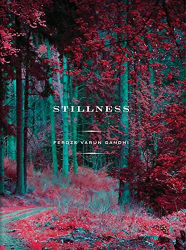 Cover of Stillness