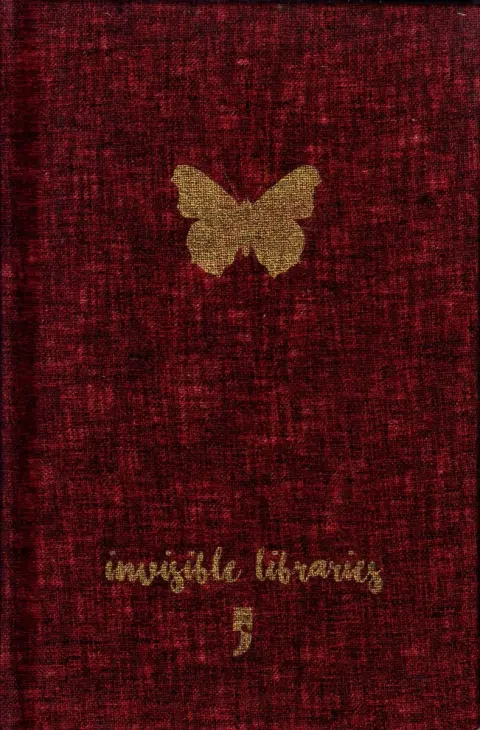 Cover of Invisible Libraries