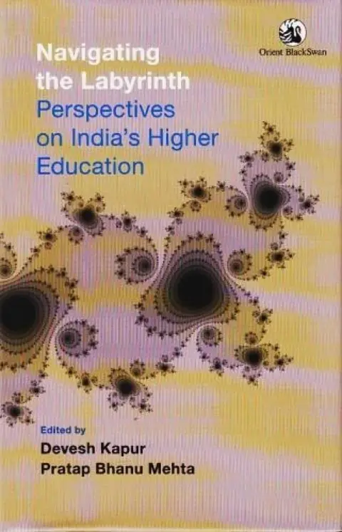 Cover of Navigating the Labyrinth