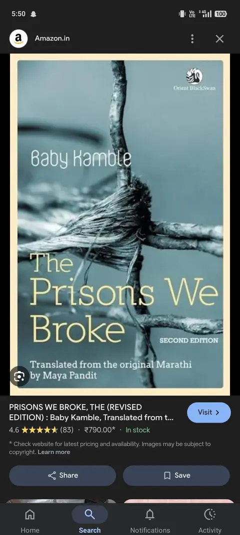 Cover of The Prisons We Broke