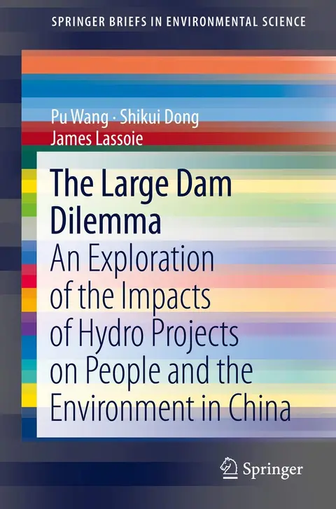 Cover of The Large Dam Dilemma