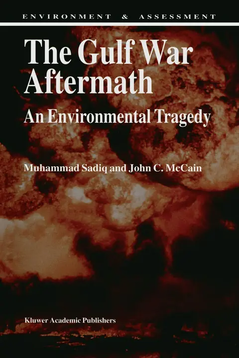 Cover of The Gulf War Aftermath