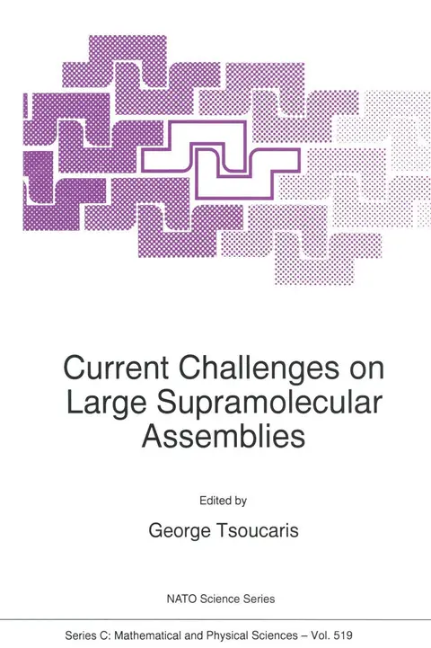 Cover of Current Challenges on Large Supramolecular Assemblies