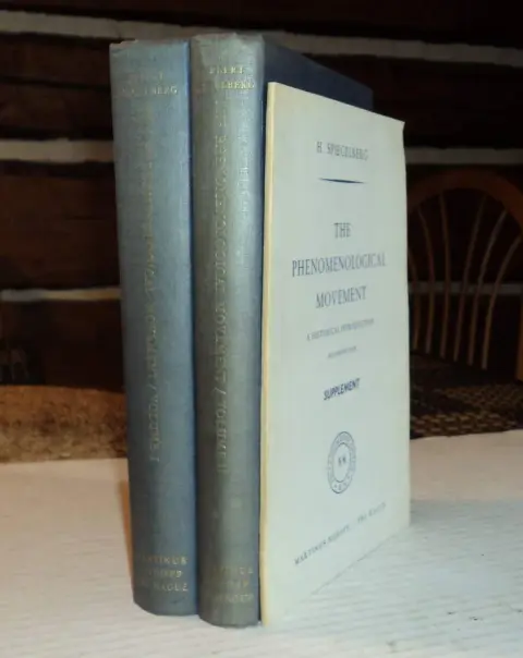 Cover of The Phenomenological Movement
