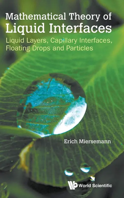 Cover of Mathematical Theory of Liquid Interfaces