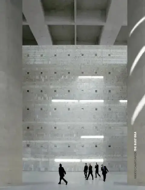 Cover of The Built Idea