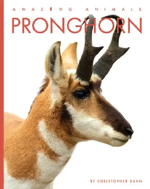 Cover of Pronghorn