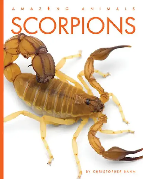 Cover of Scorpions