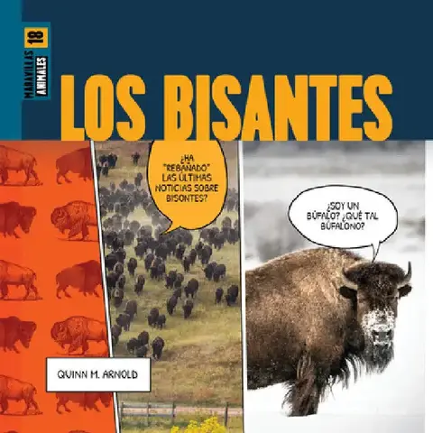 Cover of Los Bisontes