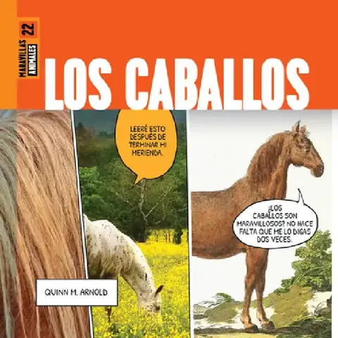 Cover of Los Caballos