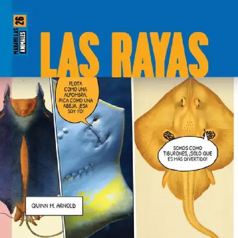 Cover of Las Rayas