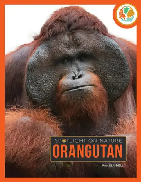 Cover of Orangutan