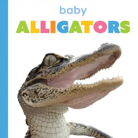 Cover of Baby Alligators
