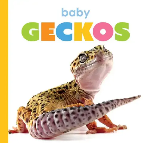 Cover of Baby Geckos