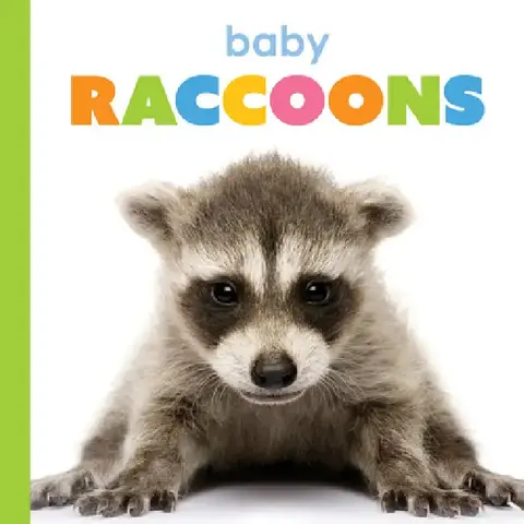 Cover of Baby Raccoons