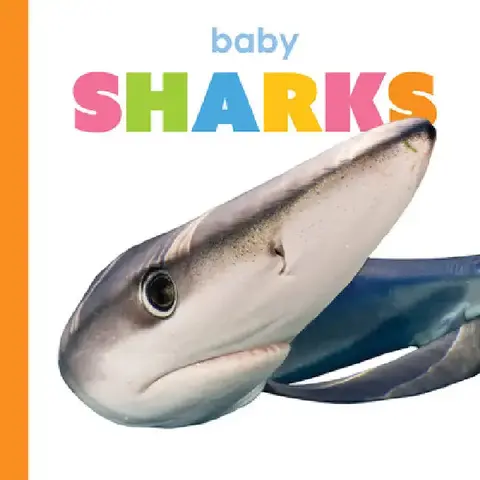 Cover of Baby Sharks