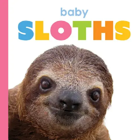 Cover of Baby Sloths