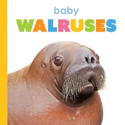 Cover of Baby Walruses