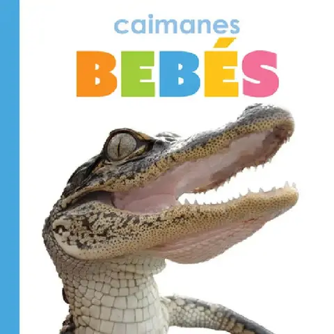 Cover of Caimanes Bebés