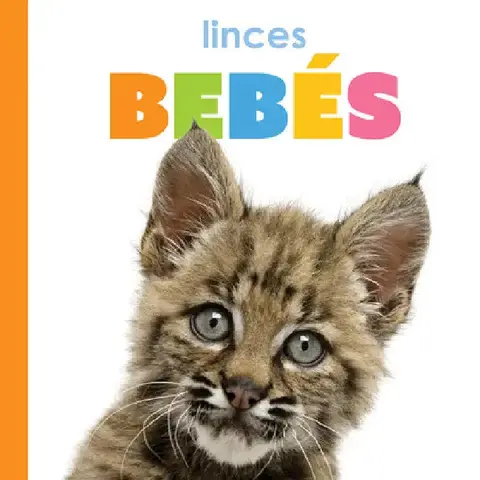Cover of Linces Bebés