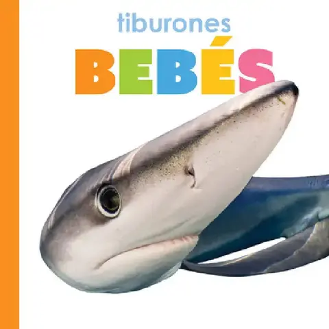 Cover of Tiburones Bebés