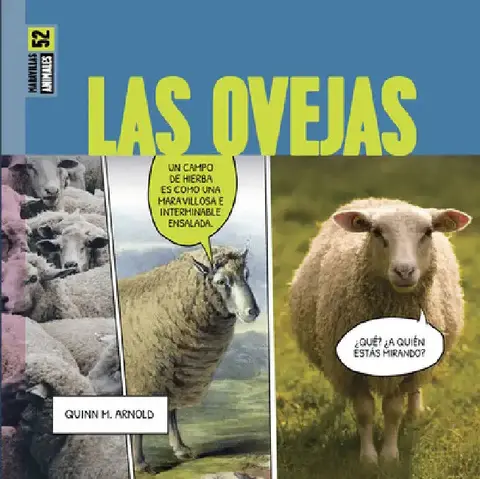 Cover of Las Ovejas