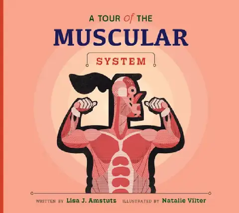 Cover of A Tour of the Muscular System