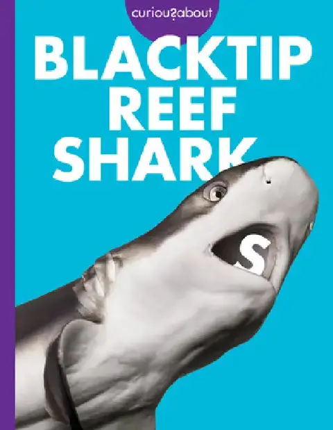 Cover of Curious about Blacktip Reef Sharks