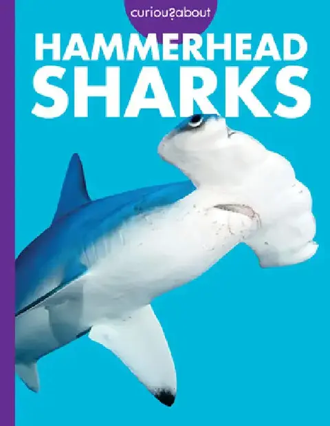 Cover of Curious about Hammerhead Sharks