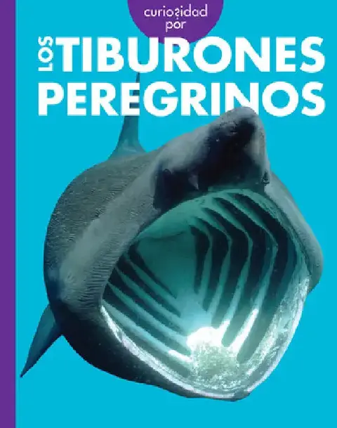 Cover of Curiosidad Por Los Tiburones Peregrinos