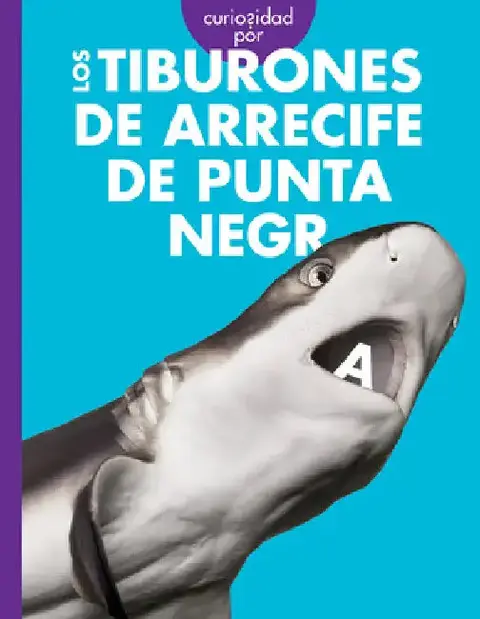 Cover of Curiosidad Por Los Tiburones de Arrecife de Punta Negra