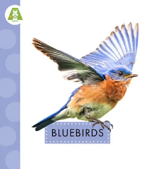 Cover of Bluebirds