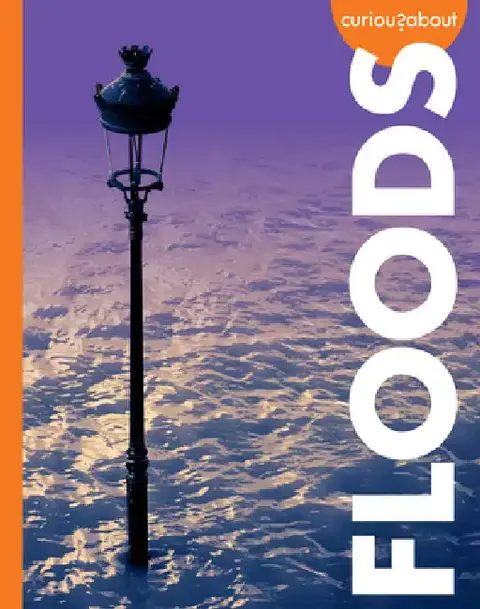 Cover of Curious about Floods