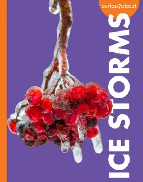 Cover of Curious about Ice Storms