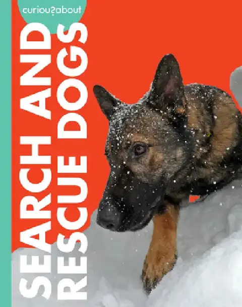 Cover of Curious about Search and Rescue Dogs